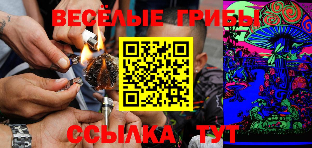 Галлюциногенные грибы Psilocybe Чита
