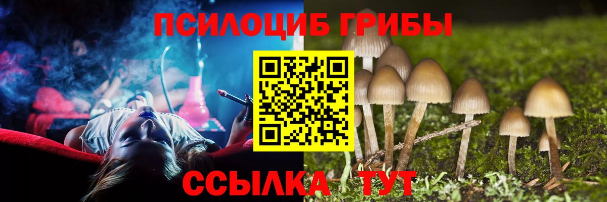 Галлюциногенные грибы Psilocybe  Вход с VPN  Чита 